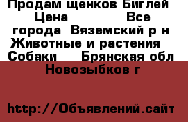 Продам щенков Биглей › Цена ­ 15 000 - Все города, Вяземский р-н Животные и растения » Собаки   . Брянская обл.,Новозыбков г.